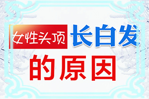 头顶白发是什么原因引起的图片女