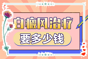 治白巅峰的费用