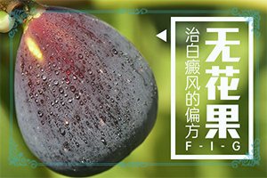 缺乏维生素脸上起白斑-身上处有白斑图片-病症表现都是什么样子呢