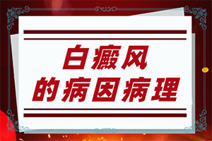 身上小白点图片[都有哪些症状表现呢]白斑病图片
